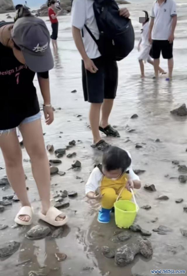 爸爸复兴海滩撒花蛤让犬子捡